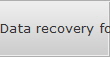 Data recovery for Las Vegas data